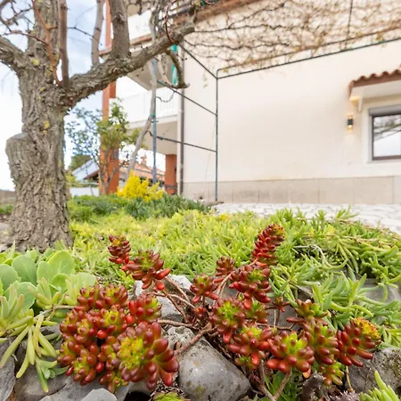 Lägenhet Adriatic Bay *