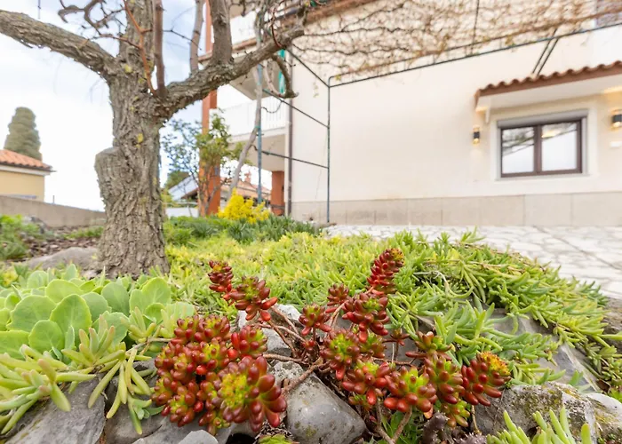 Appartement Adriatic Bay *